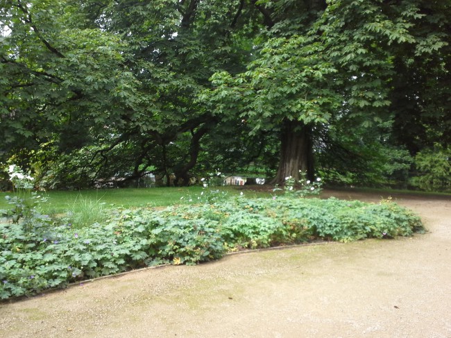 20150828_132355
Schlüsselwörter: Celler Schloss